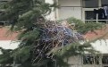丢了许久的衣架终于找到了,原来都在这里集合 丢了许久的衣架终于找到了,原来都在这里集合