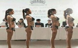 九位正妹翘臀后进撸管最适合的美女是哪一位